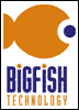 Bigfish Technology